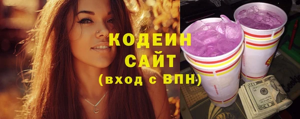 2c-b Бородино
