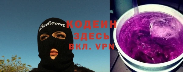 2c-b Бородино