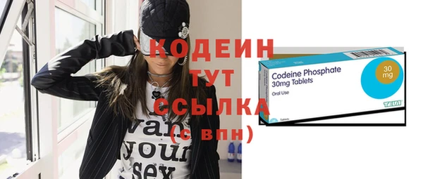 2c-b Бородино