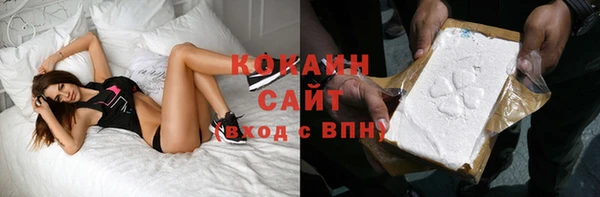 2c-b Бородино