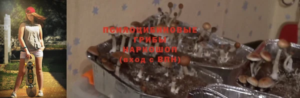 каннабис Бронницы