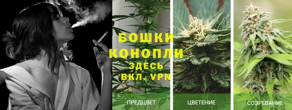 бошки Верея