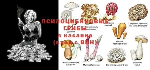 jwh Бугульма