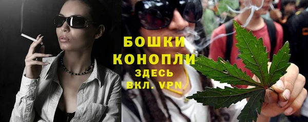 2c-b Бородино